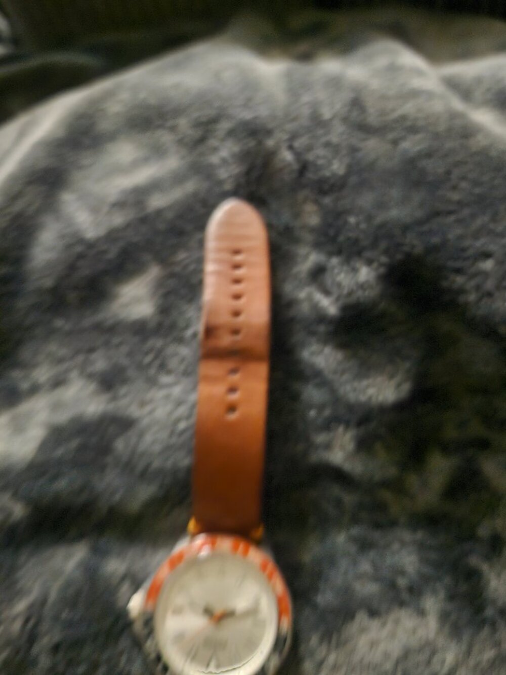 Fossil - Picture 5 of 5